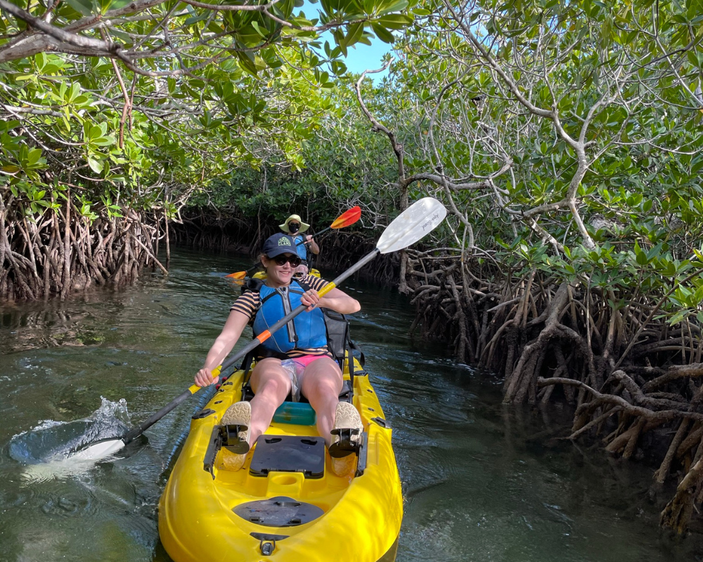 Home  Found ' Em Kayak Fishing Guides